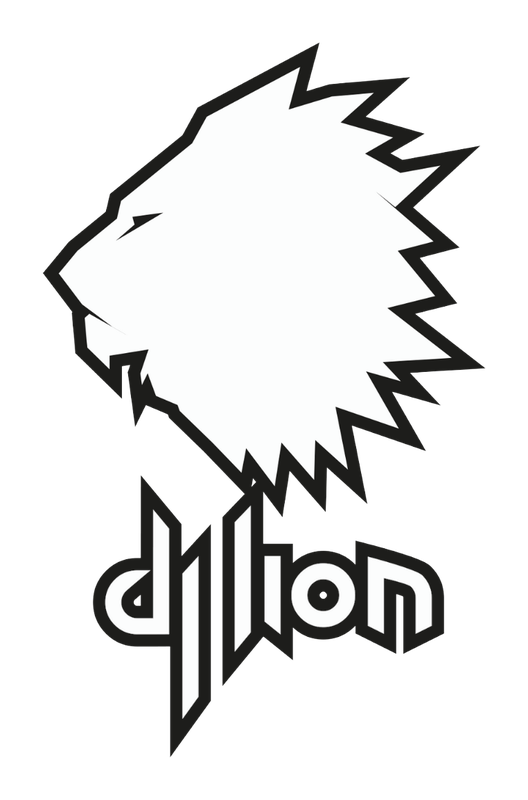 Dj Lion